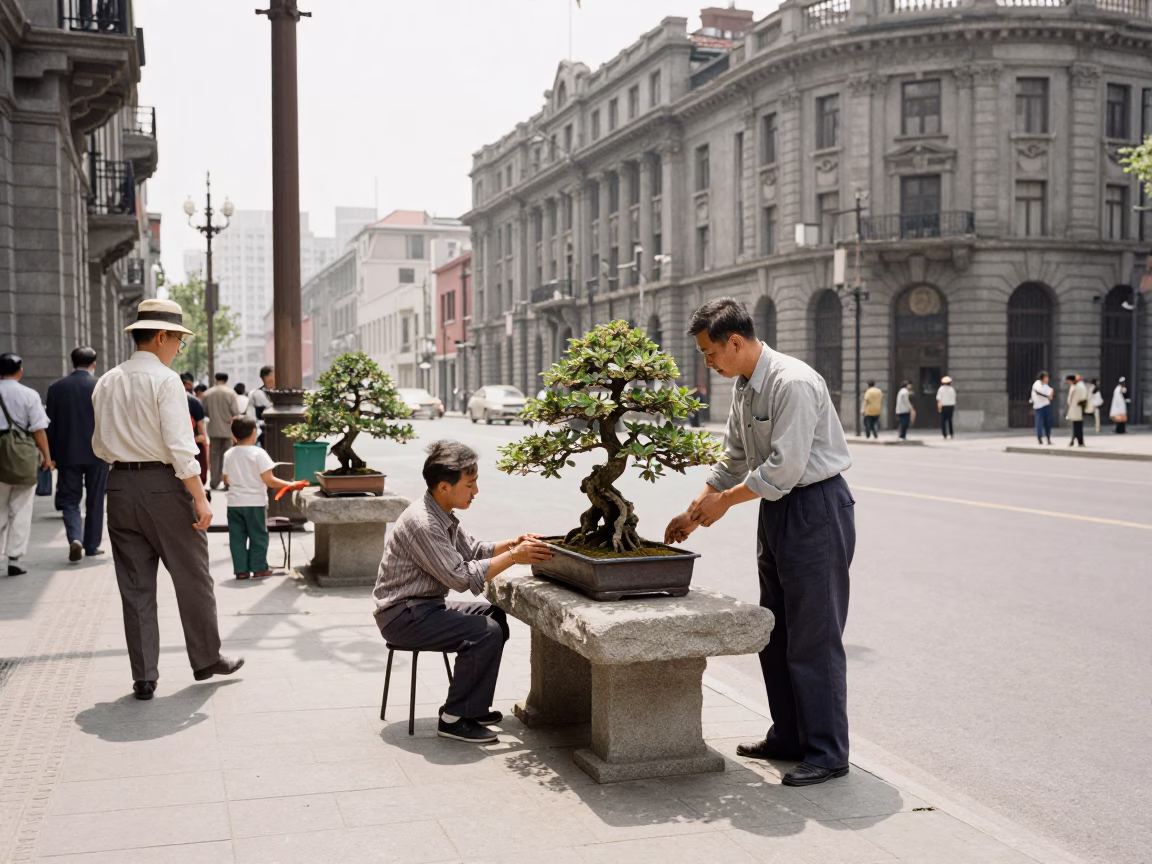 1950s Shanghai Street Scene with Bonsai Forest Planting on Stone Slab in in Shanghai, China
