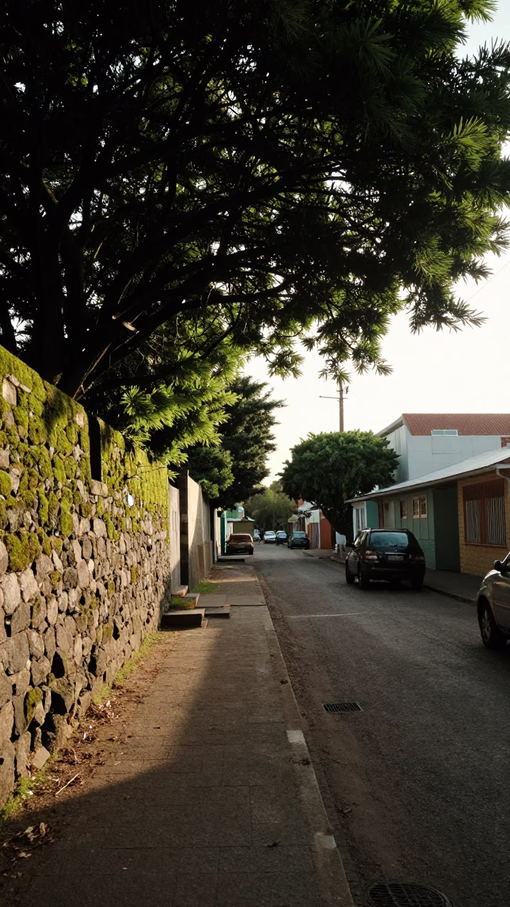 1960s Durban Street Scene with Mossy Stone Wall and Coastal Light in in Durban, South Africa