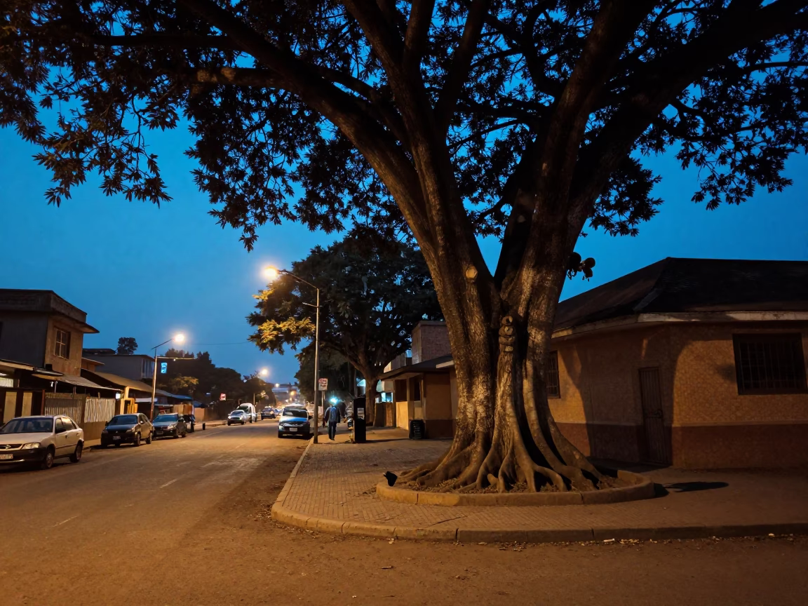 1960s Nairobi Evening Street Scene with Kapok Tree and Local Interaction in in Nairobi, Kenya