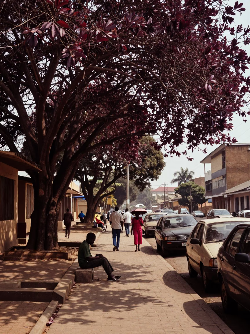 1960s Nairobi Street Scene with Copper Beech Tree and Vintage Basketball in in Nairobi, Kenya