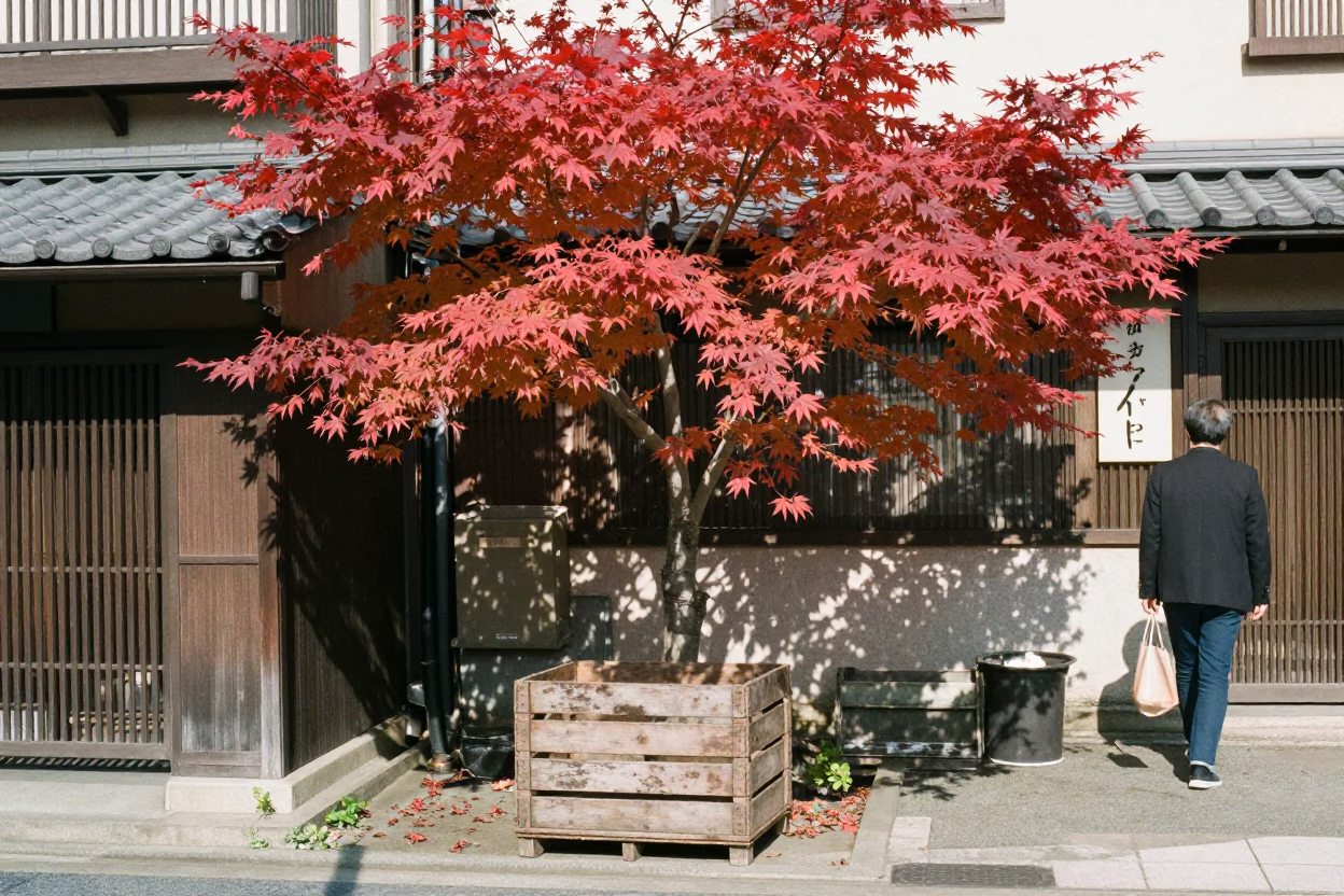 1970s Tokyo Noon Street Scene with Japanese Maple and Fruit Crate in in Tokyo, Japan