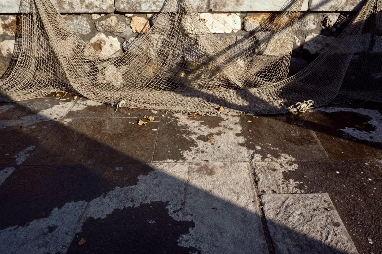 Abstract Fishing Net Shadows on Italian Harbor Wall in in Italy