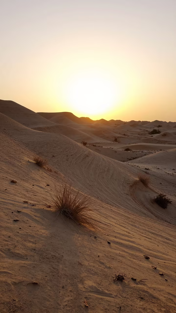 Abu Dhabi Bajada Slope Golden Hour Silhouette in near Abu Dhabi