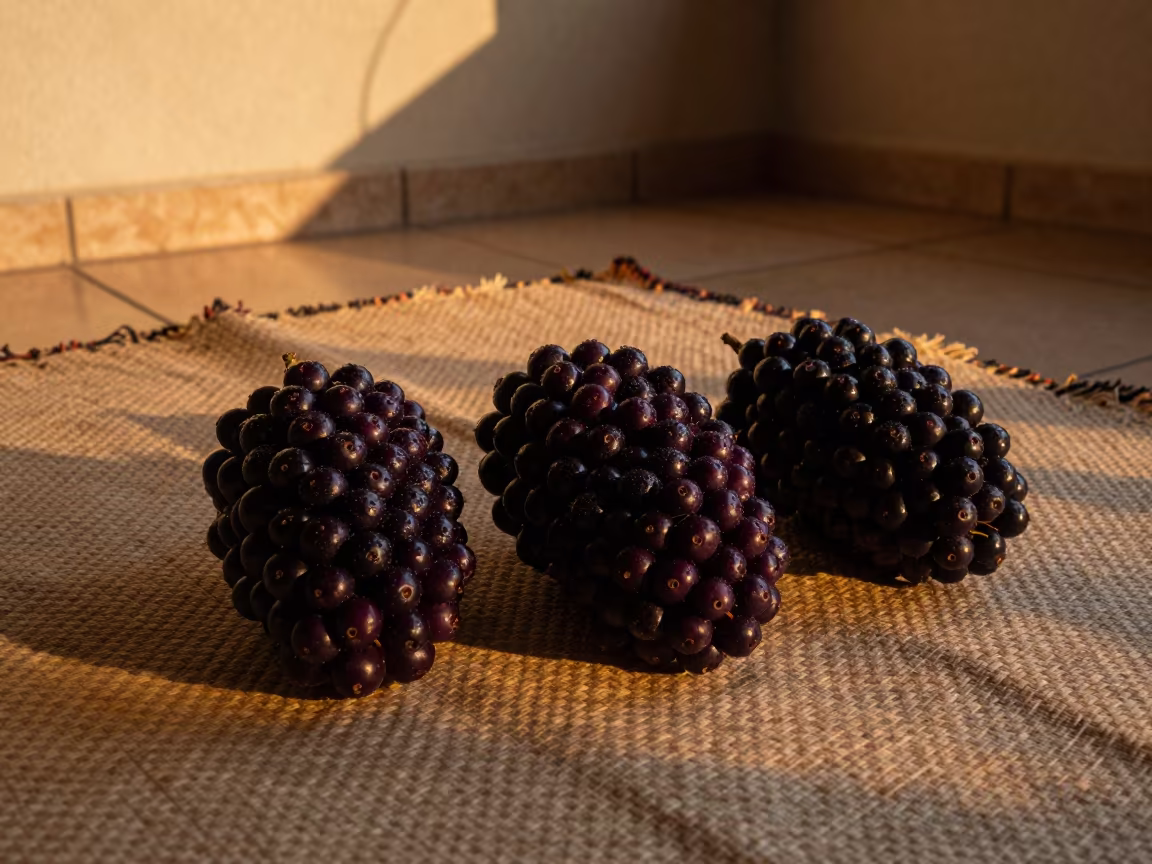 Açaí Berries on Ipanema Picnic Blanket in on a picnic blanket in Ipanema, Rio de Janeiro