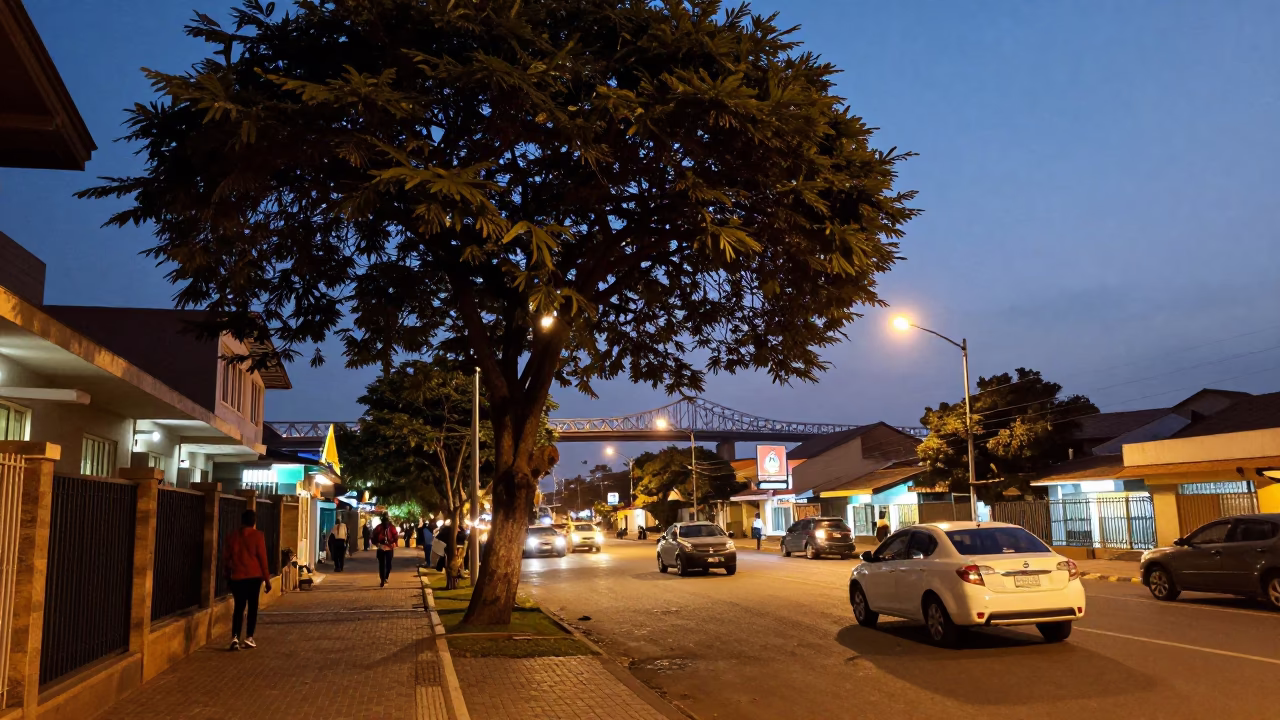 Accra Ghana Evening Street Scene with Tree and Harbor Bridge Lights in in Accra, Ghana