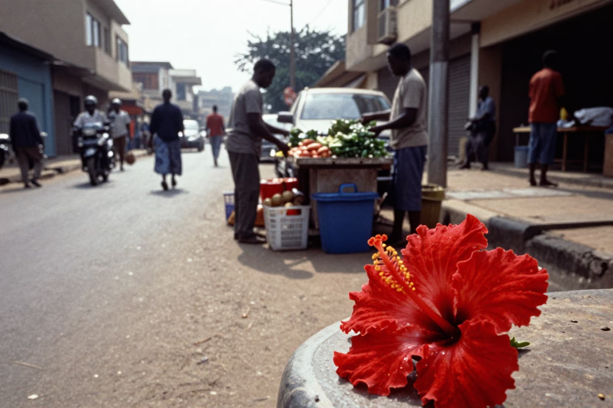 Accra Ghana Late Morning Street Scene with Hibiscus Flower and Sunlight on Tile in in Accra, Ghana
