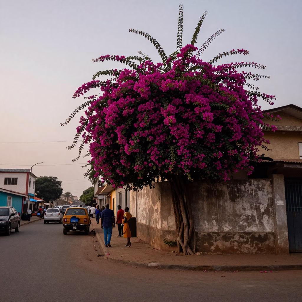 Accra Ghana Nautical Dawn Street Scene with Bougainvillea and Local Market Activity in in Accra, Ghana