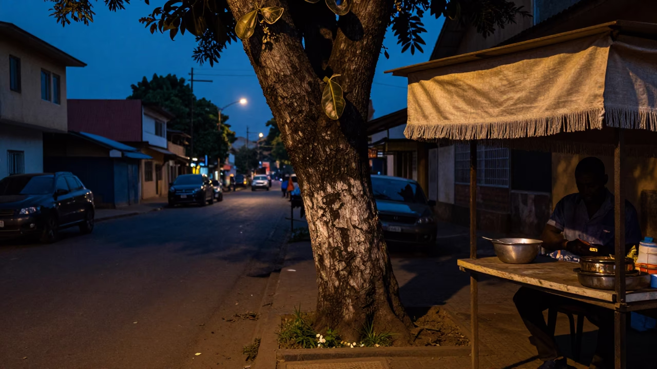 Accra Ghana Predawn Street Scene with Rubber Fig Tree and Linen Fringe in in Accra, Ghana