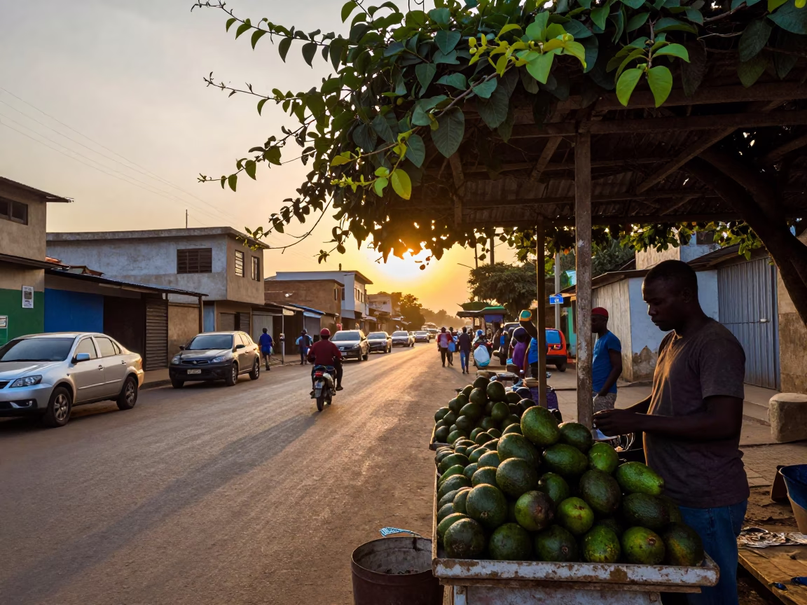 Accra Ghana street scene at dusk with blooming vine and roadside fruit vendor in in Accra, Ghana