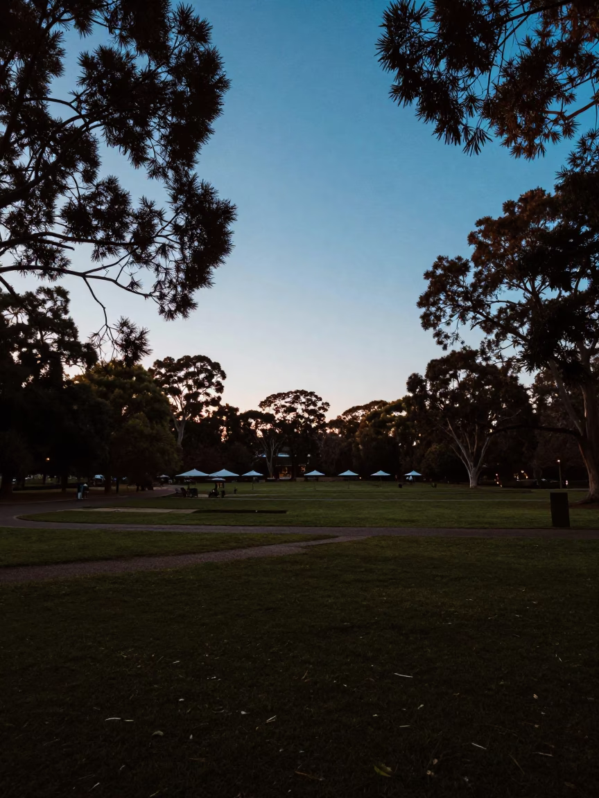 Adelaide Park Lands Dawn Landscape with University Courtyard Umbrellas in in Adelaide, South Australia, Australia