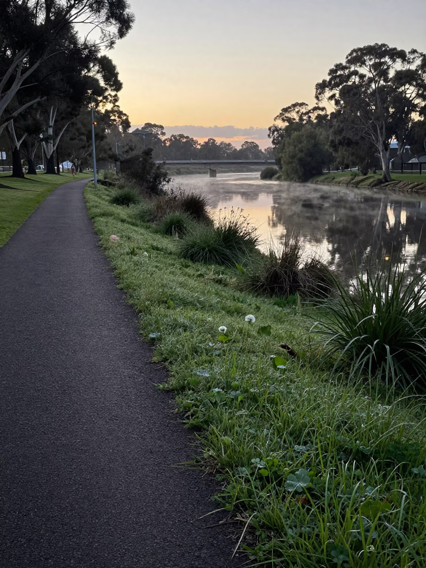 Adelaide Riverbank Morning Light Reveals Clover Dew and Old Tiffin Tin Near Water in in Adelaide, South Australia, Australia