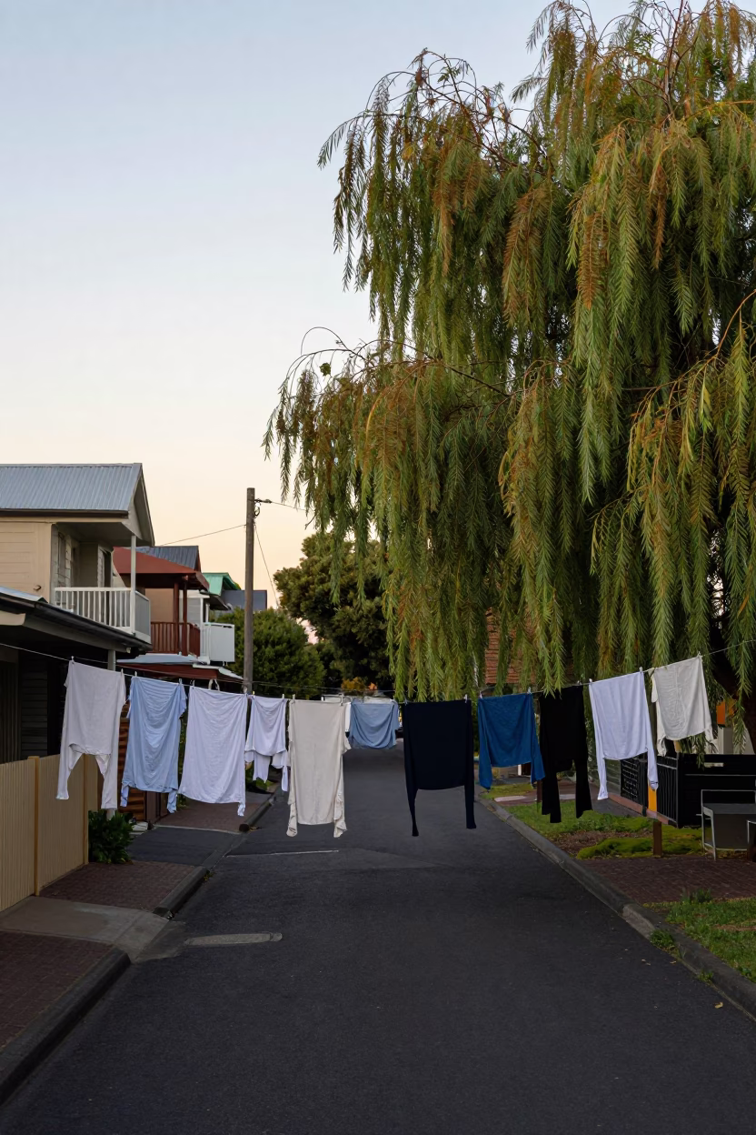 Adelaide South Australia Early Evening Street Scene with Clothesline and Willow Tree in in Adelaide, South Australia, Australia