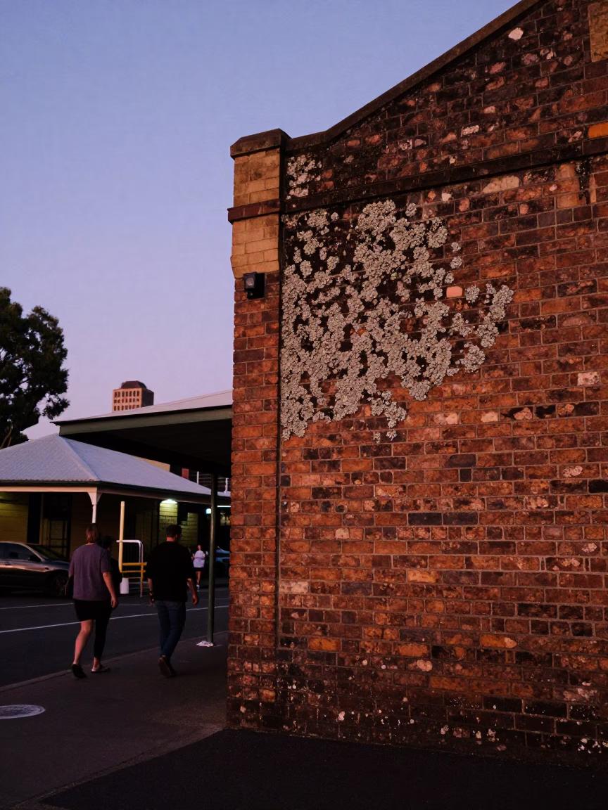 Adelaide South Australia Indigo Twilight Street Scene with Lichen and Local Architecture in in Adelaide, South Australia, Australia