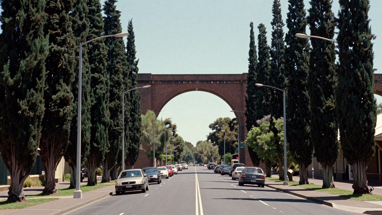 Adelaide South Australia midday street scene with viaduct and cypress trees in in Adelaide, South Australia, Australia