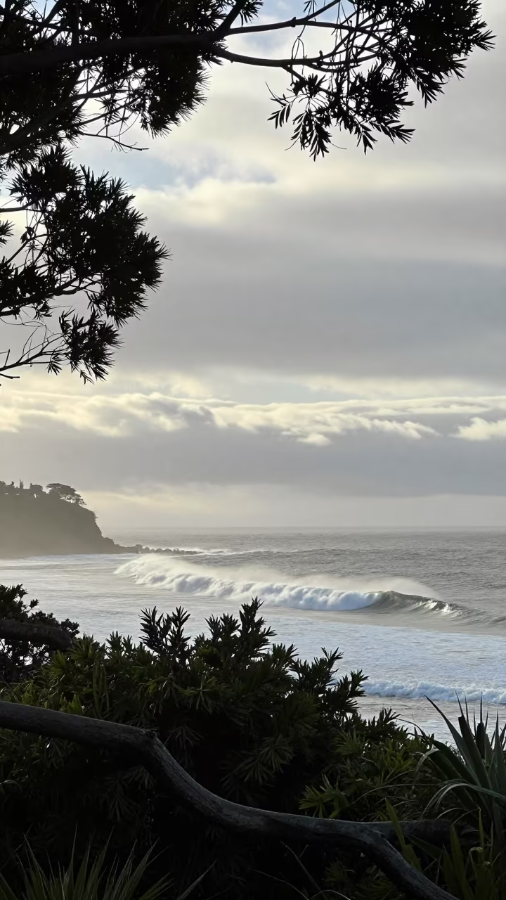 Advection Fog Over Cold Ocean Near Sydney in through low marine fog near Darlinghurst, Sydney