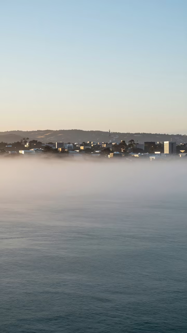 Advection Fog Rolling Over Auckland Ocean in near Britomart, Auckland