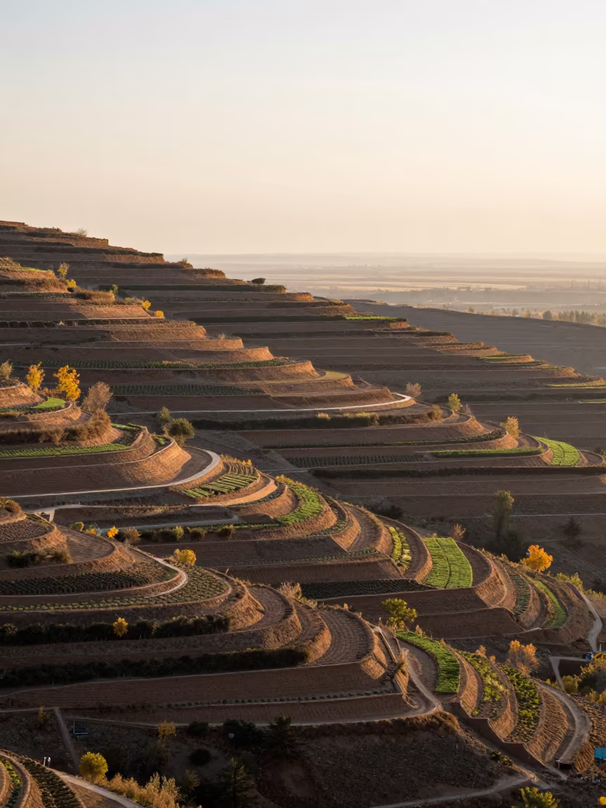 Aerial View of Autumn Allotment Gardens Near Namangan in far above terraced hillsides near Namangan