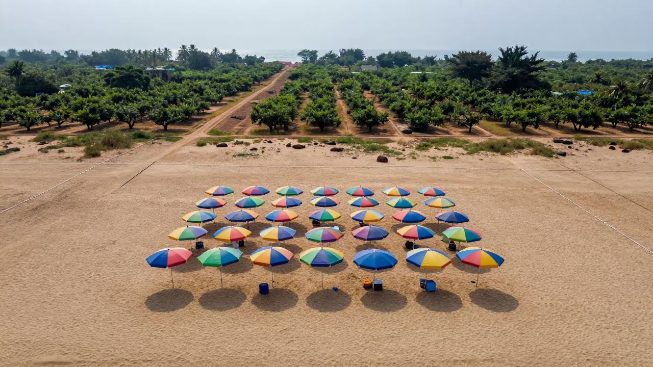 Aerial Beach Umbrellas Monsoon Mumbai in far above orchard blocks and irrigation lines near Crawford Market, Mumbai