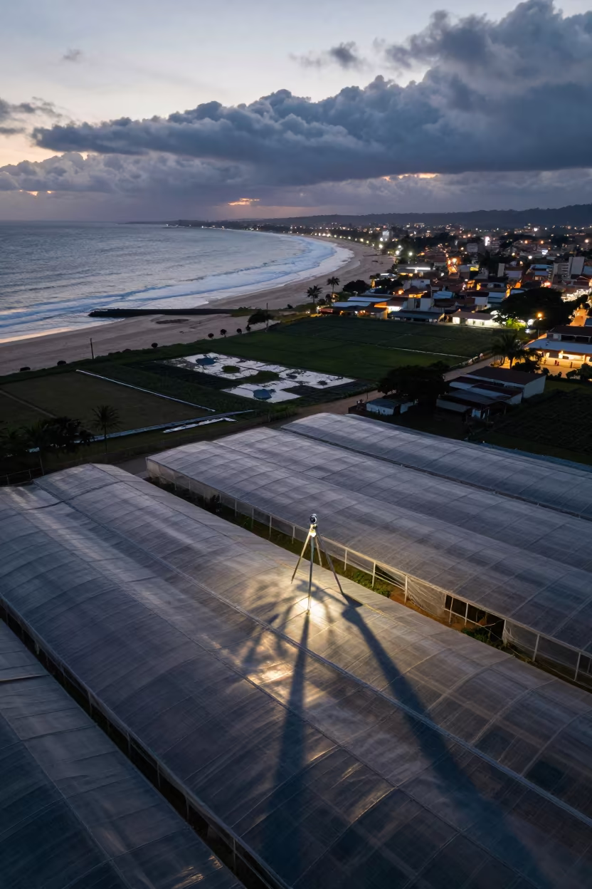 Aerial Beach View With Greenhouse Grids in high over greenhouse grids near Salvador