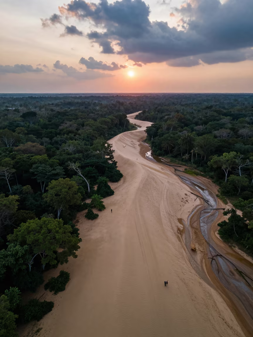 Aerial Boreal Forest Sunset Over Dunes in above dune fields and dry wadis in Tamil Nadu