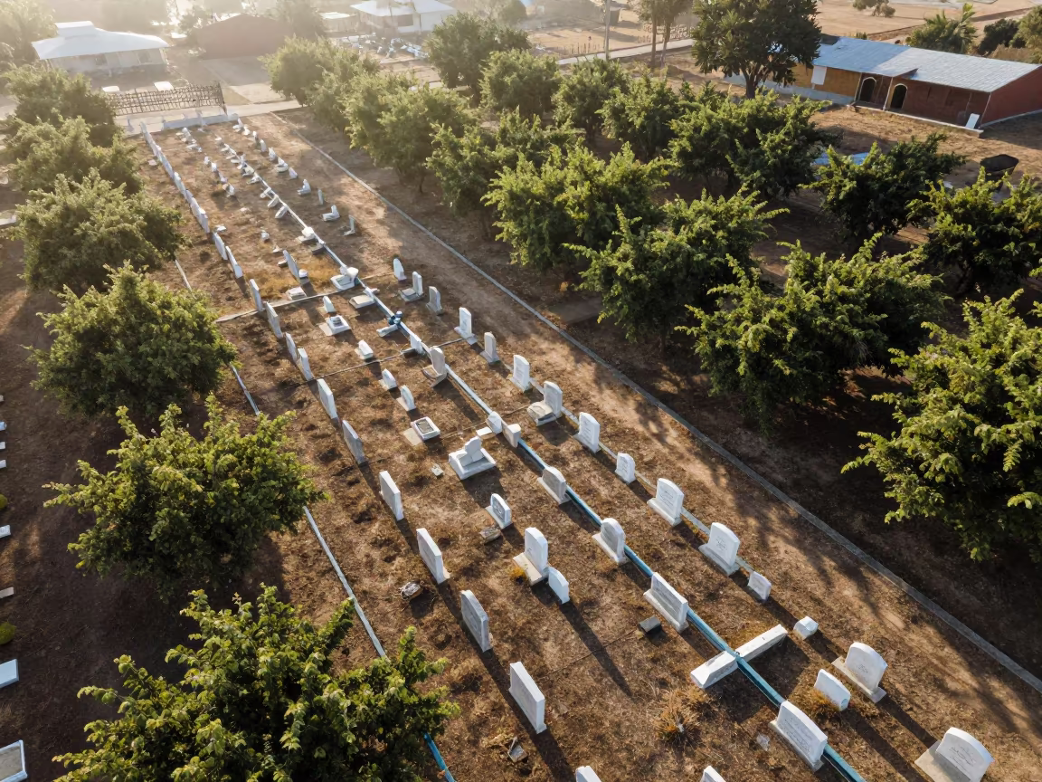 Aerial View of Cemetery Amidst Dry Orchard Mist in far above orchard blocks and irrigation lines near Managua