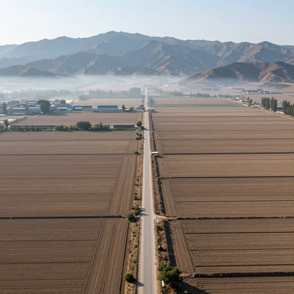 Aerial Country Lanes Near Anyang Fields in high above patterned rooftops near Anyang