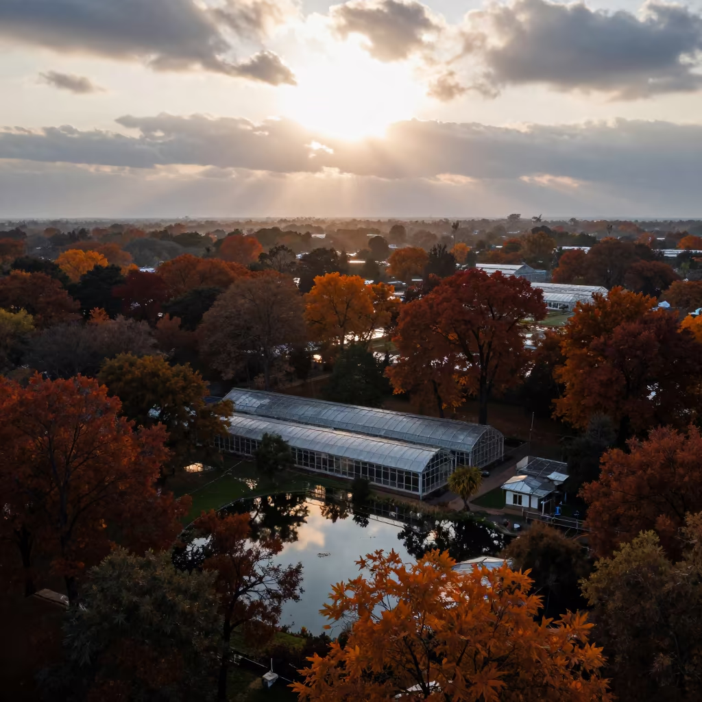 Aerial Fall Colors Pond Ahmedabad Evening in high over greenhouse grids near Ahmedabad
