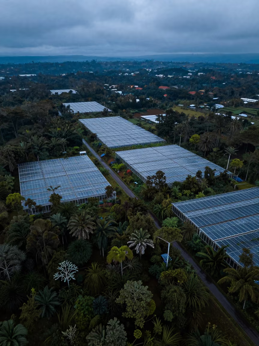 Aerial Fire Break Through Ecuador Greenhouses in high over greenhouse grids in Ecuador