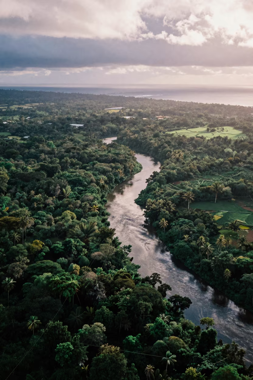 Aerial Forest River Comoros Irrigation Geometry in high above irrigation geometry in Comoros