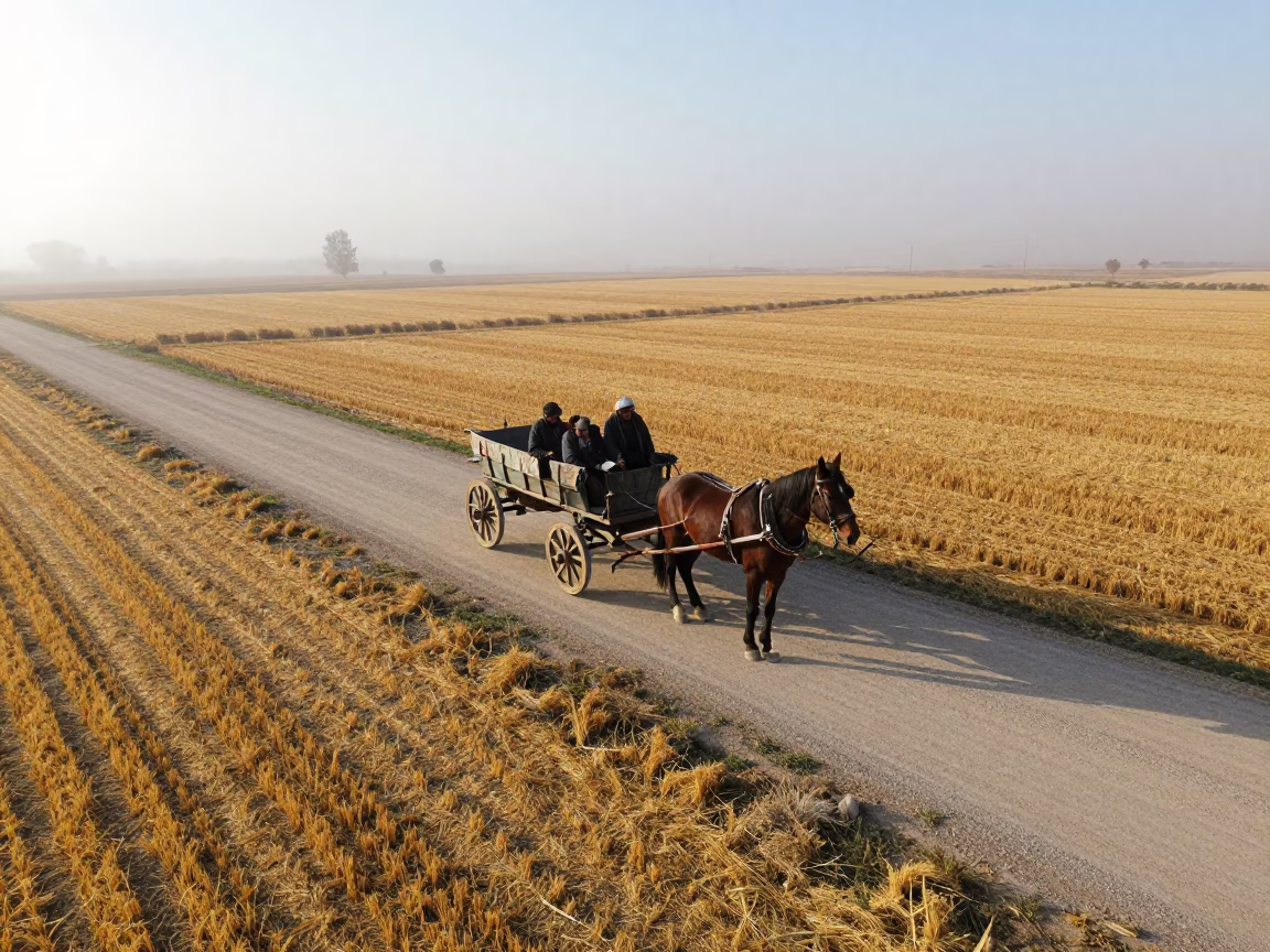 Aerial View of Horse Wagon on Autumn Farm Road in across a harvested grain field in Şanlıurfa