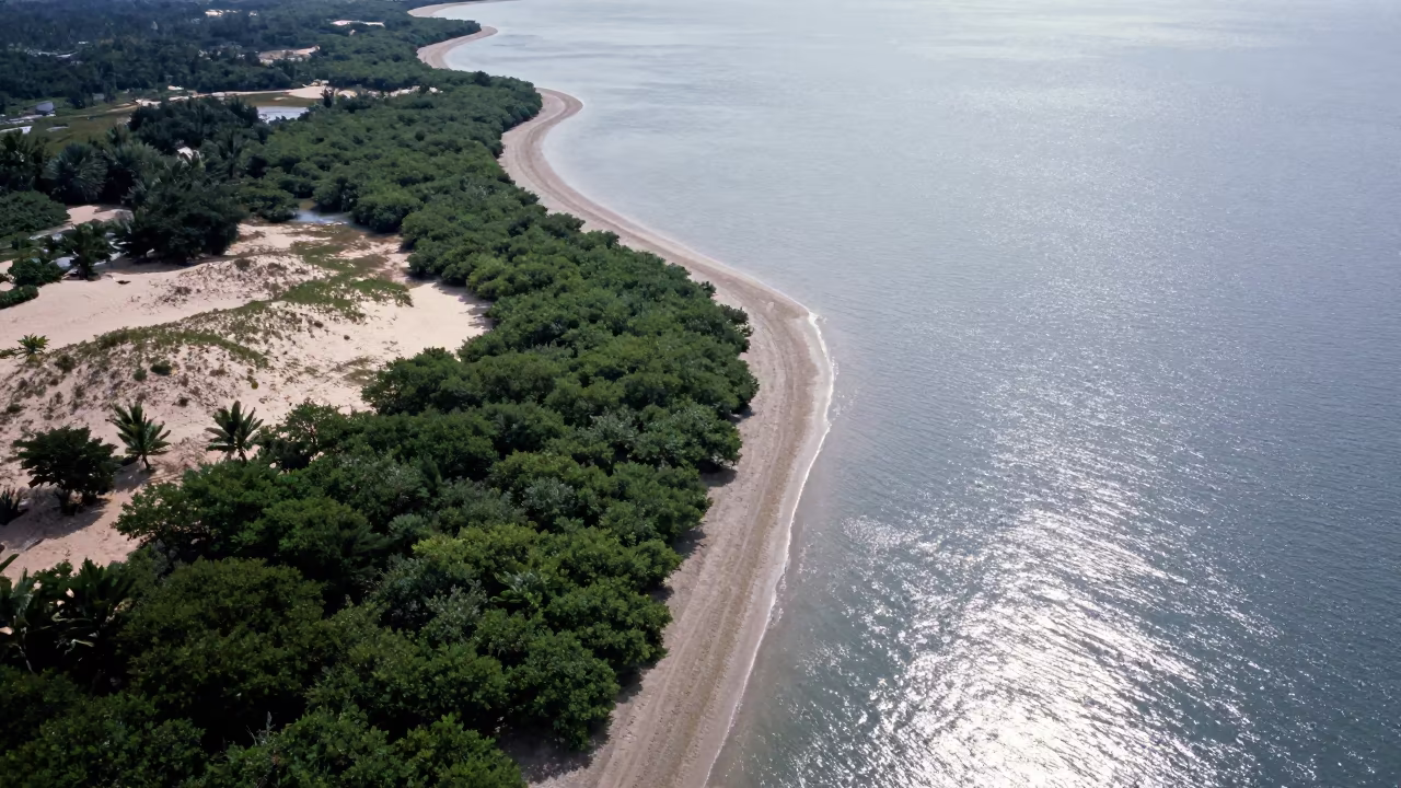 Aerial View of Malaysian Mangrove Coastline and Open Water in above dune fields and dry wadis in Malaysia