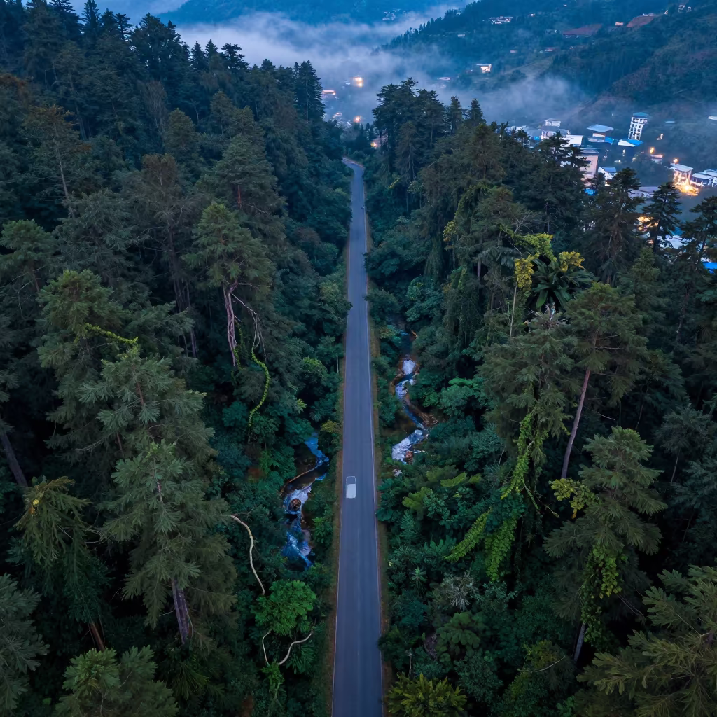 Aerial View of Misty Forest with Overgrown Jungle Vines in high above braided river channels near Thimphu