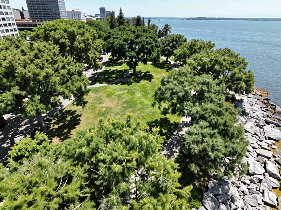 Aerial Park View Through Trees in far above surf-scalloped coastline in Afghanistan
