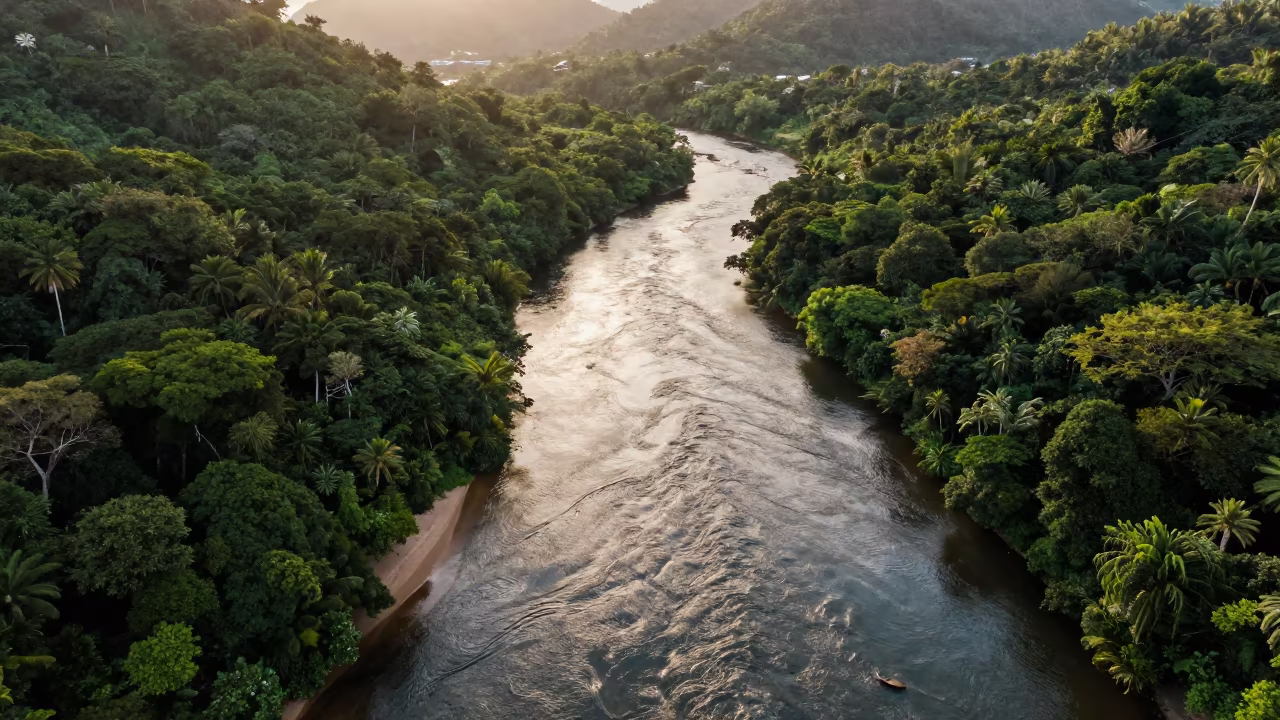 Aerial River Cutting Through Rio Jungle Canopy in high above braided river channels near Rio de Janeiro