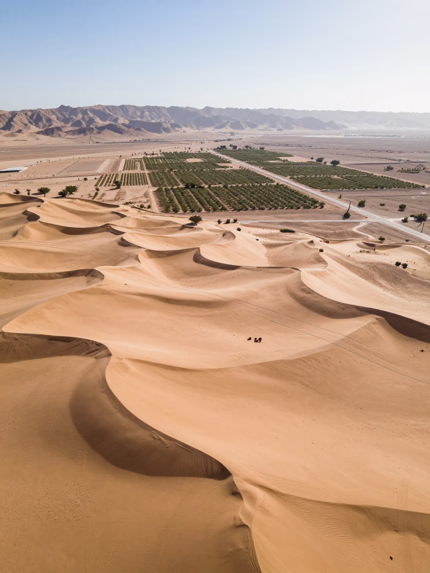 Aerial Sand Dunes Over Muscat Orchards in far above orchard blocks and irrigation lines near Muscat
