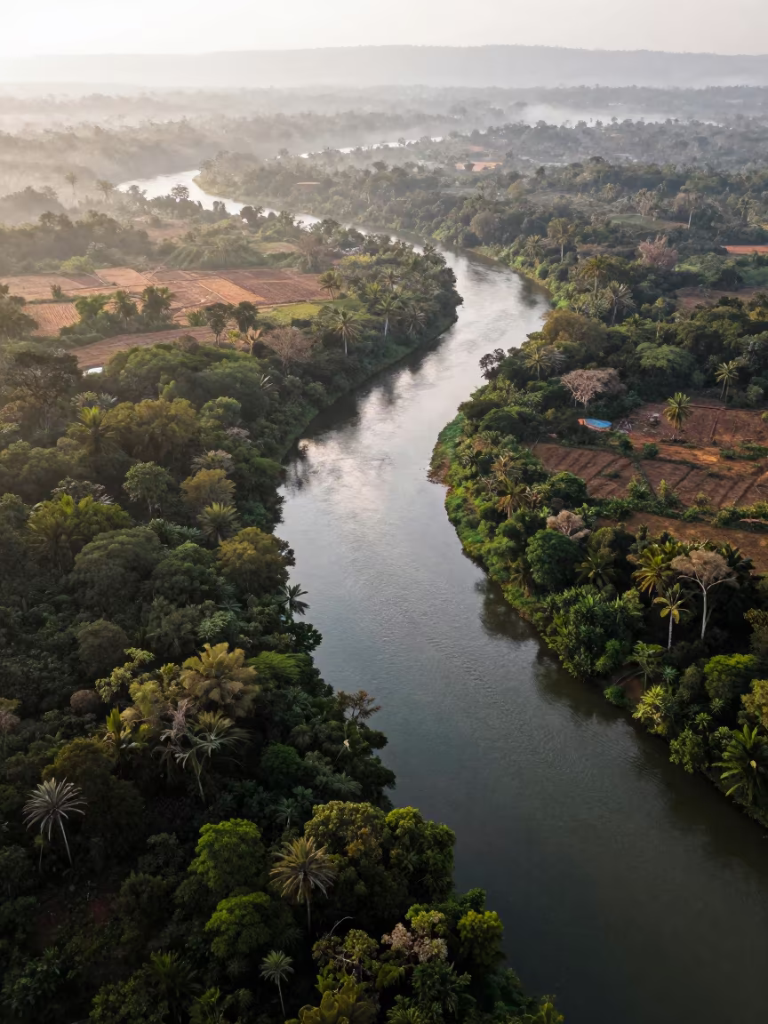 Aerial View of Serpentine River Through Jungle Canopy in high above irrigation geometry in Sri Lanka