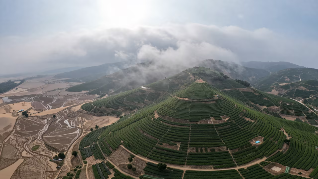 Aerial Tea Plots Descend Into Clouds Over Chorzów in above dune fields and dry wadis near Chorzów