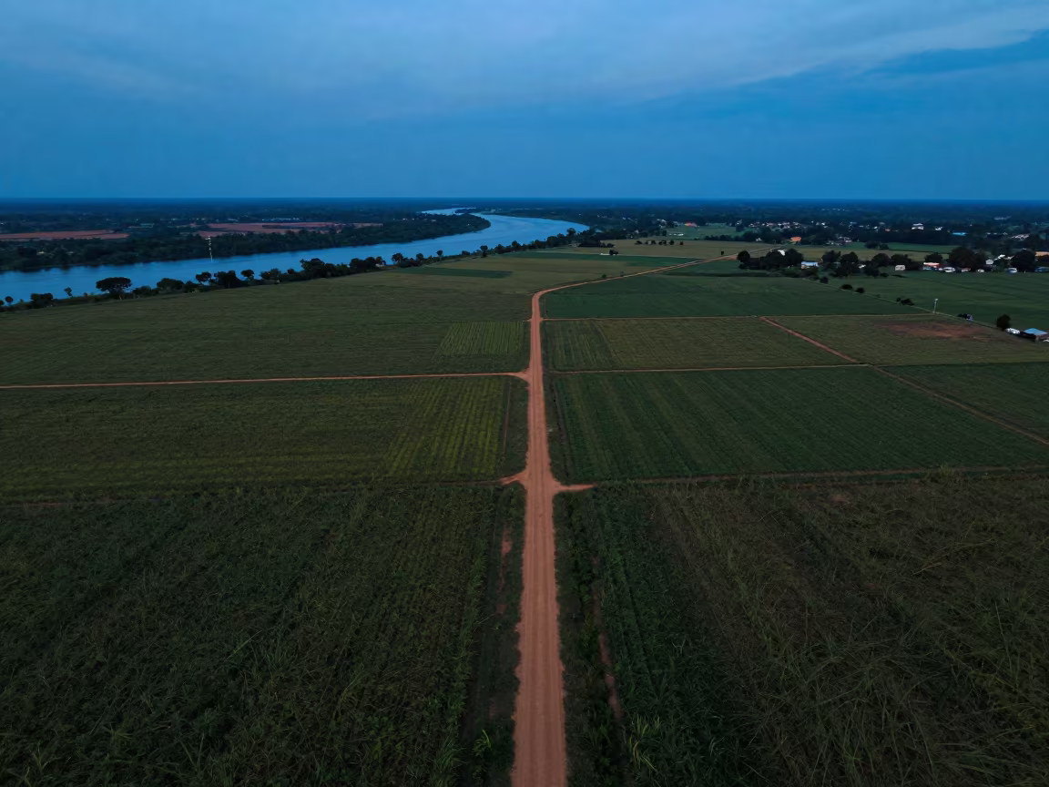 Aerial View of Gabon Mustard Fields Twilight in far above river meanders in Gabon