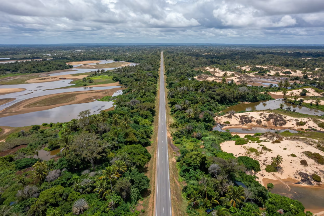 Aerial view logging road boreal forest dunes wadis in above dune fields and dry wadis in Equatorial Guinea