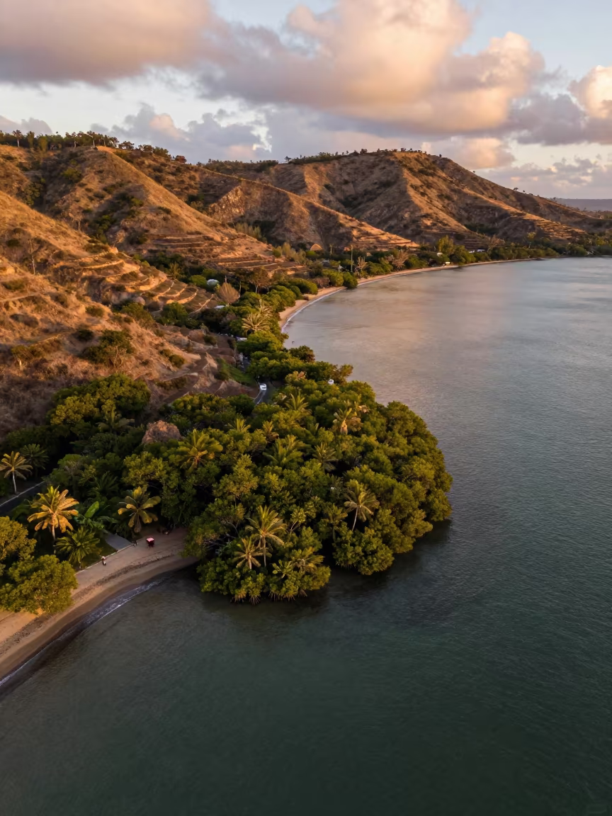 Aerial view of Mauritius mangroves at sunset in far above terraced hillsides in Mauritius