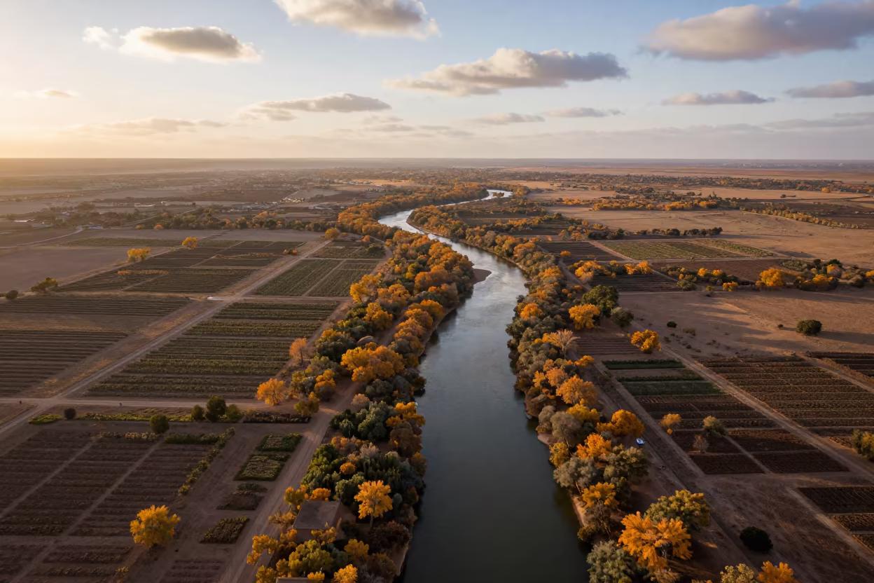 Aerial View of Winding River Through Autumn Forest in far above orchard blocks and irrigation lines in the Sahara