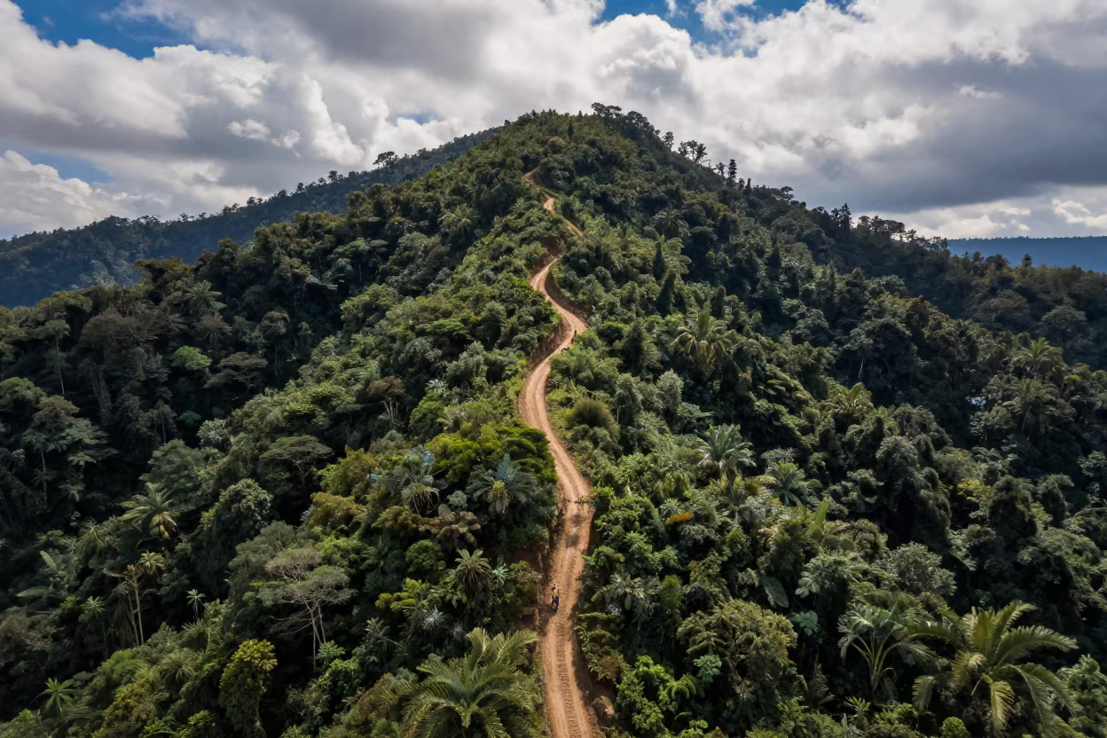Aerial View of Winding Trail Through Medellín Forest in near Medellín