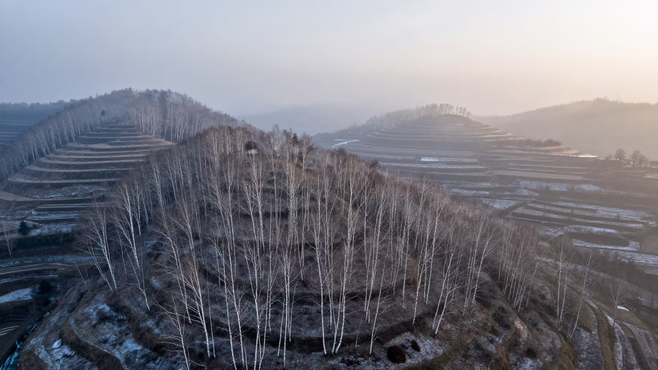 Aerial Winter Birch Forest Mist Before Dawn in far above terraced hillsides near Singida