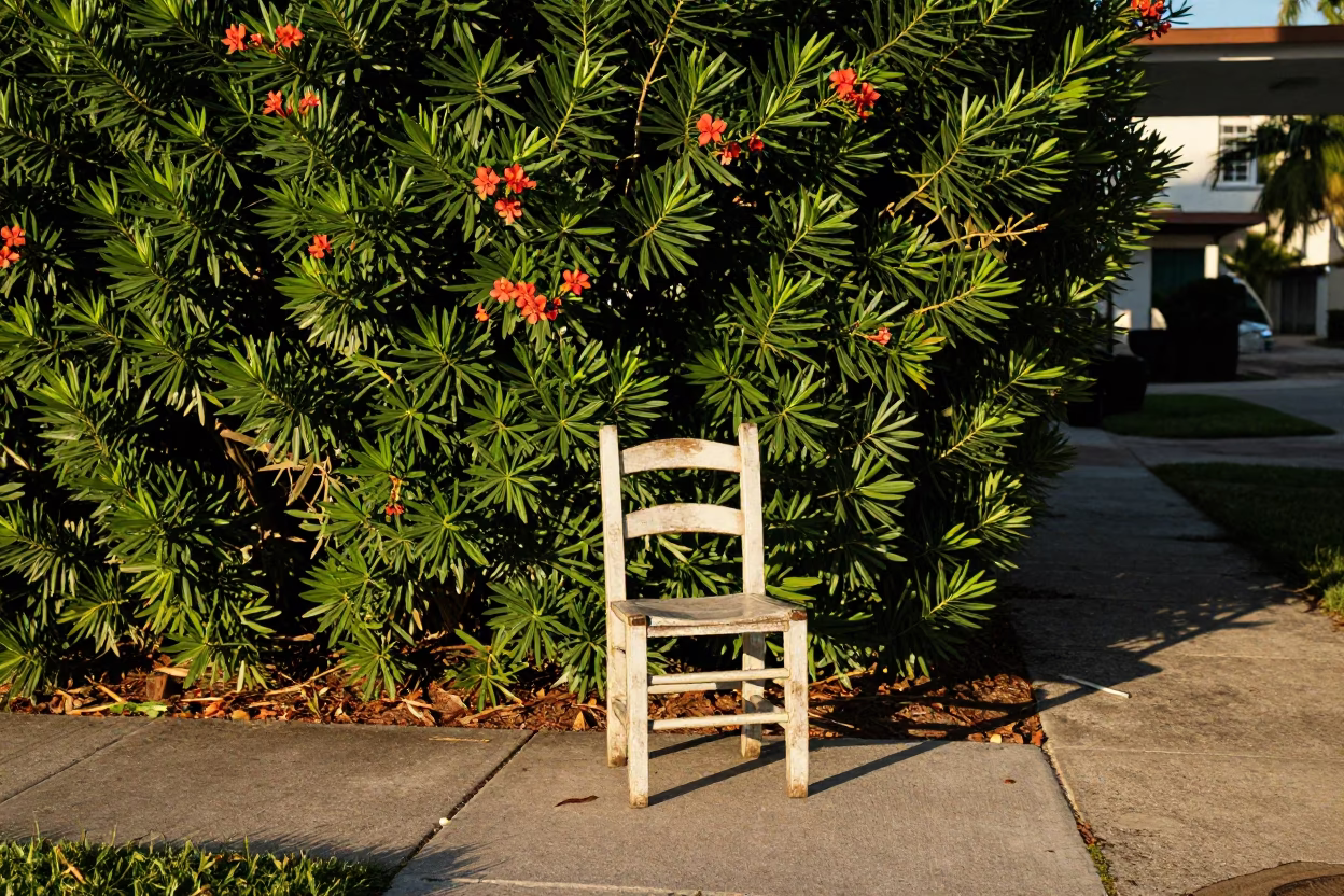 Afternoon Scene in Miami at Clear Late-afternoon Light in in Miami, Florida, United States