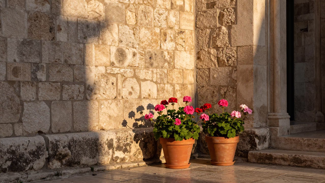Afternoon Sunlight in Dubrovnik at The Late Afternoon Light in in Dubrovnik, Croatia