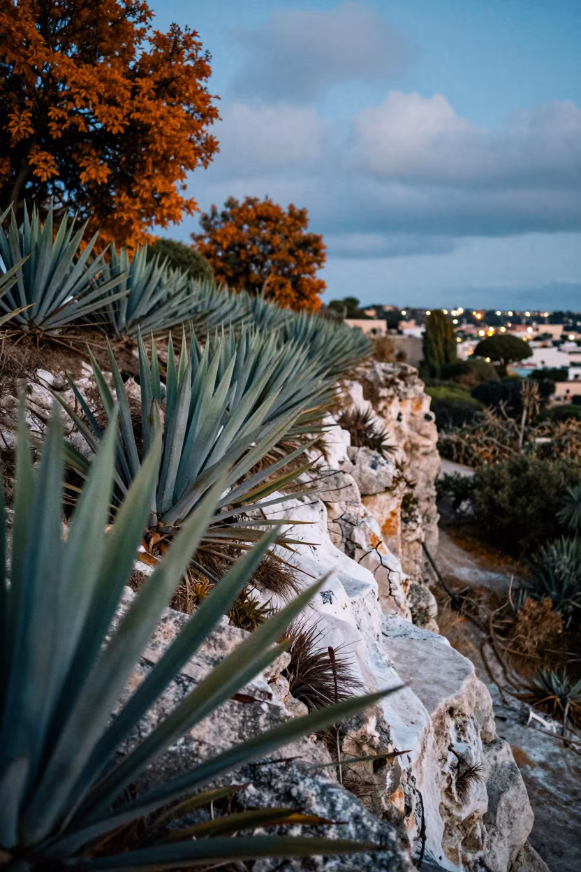 Agave Rows at Blue Hour on Alabama Salt Cliff in along a salt-sprayed cliff edge in Alabama