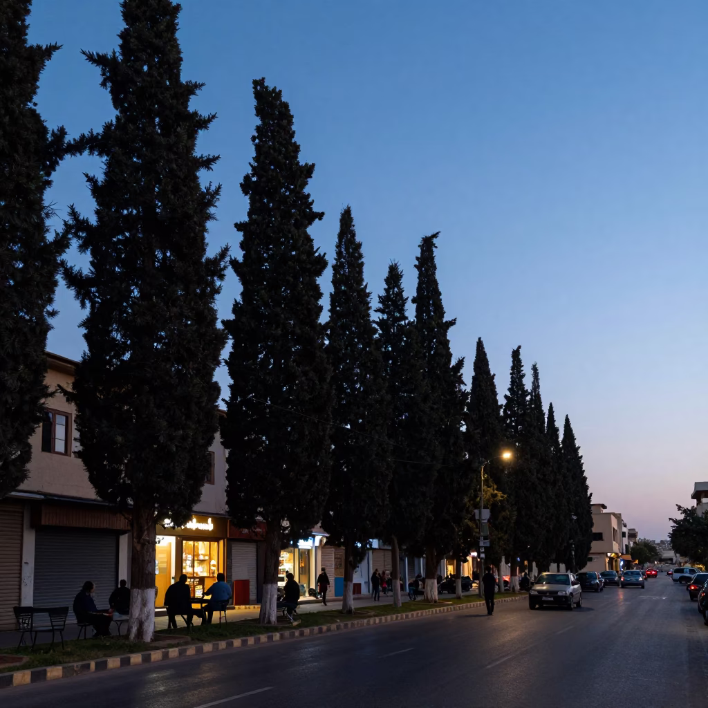 Alexandria Egypt Blue Hour Street Scene with Cypress Trees and Local Life in in Alexandria, Egypt