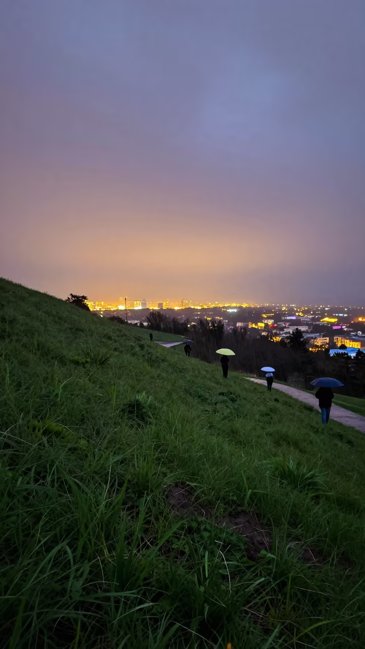 Alexandria Hillside Dusk Rain City Glow in on a hillside near Alexandria