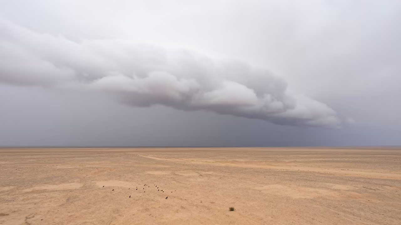 Algerian Shelf Cloud Over Flat Land in in Algeria