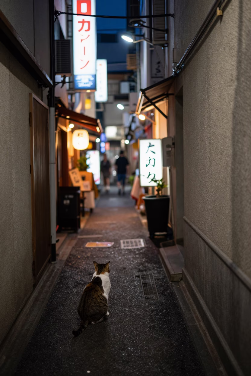 Alley Clutter in Tokyo in in Tokyo, Japan